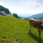 Boecklodges Hotel 4*