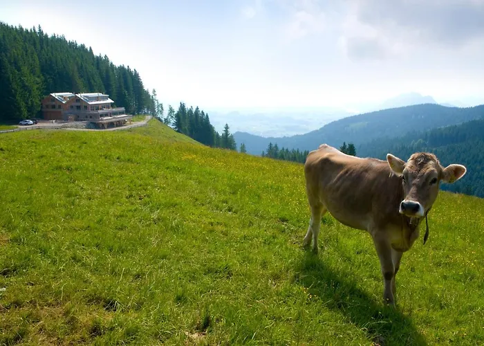 Boecklodges Hotel 4*